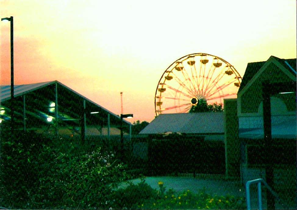Ferris Wheel by KJ Hannah Greenberg