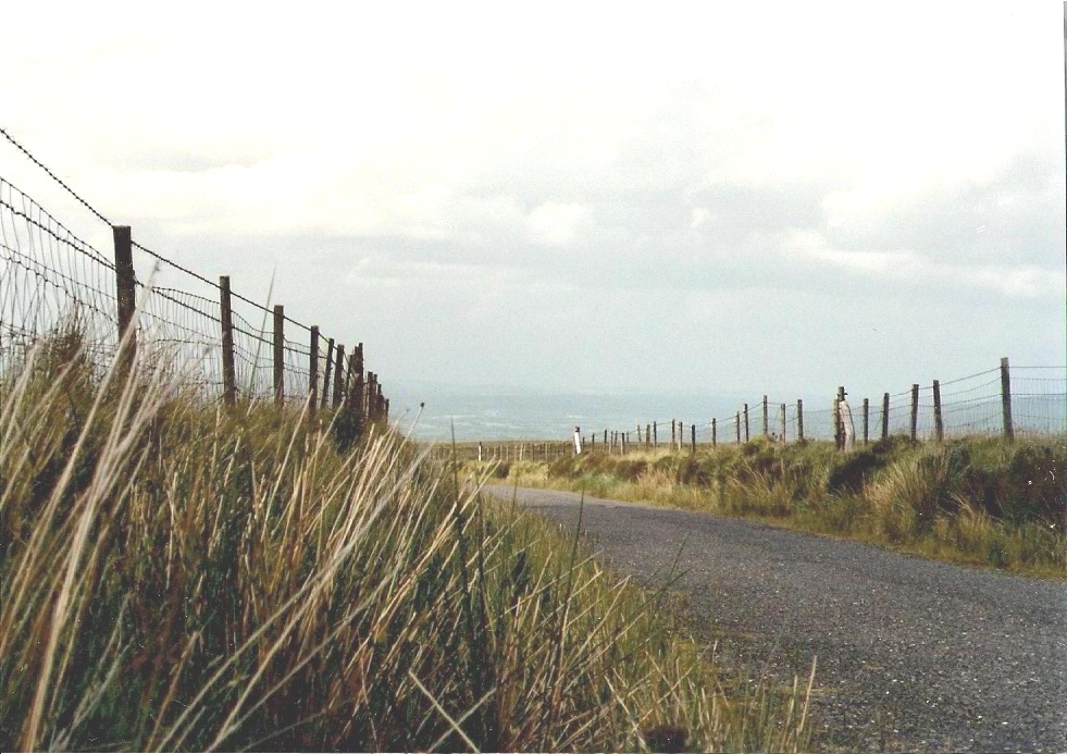 Quiet irish Lane by KJ Hannah Greenberg