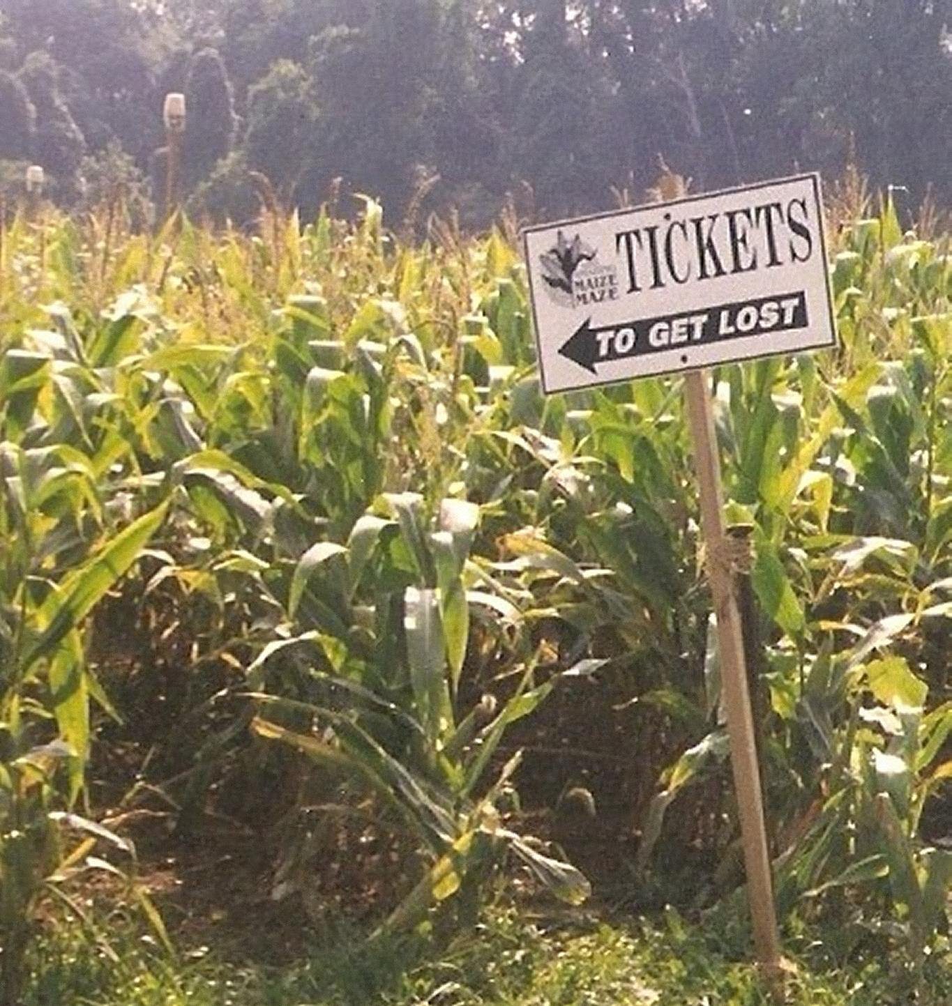 Tickets To Get Lost by KJ Hannah Greenberg