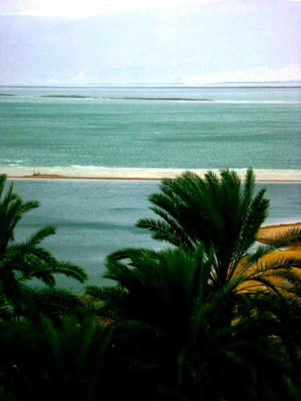 Dead Sea by KJ Hannah Greenberg