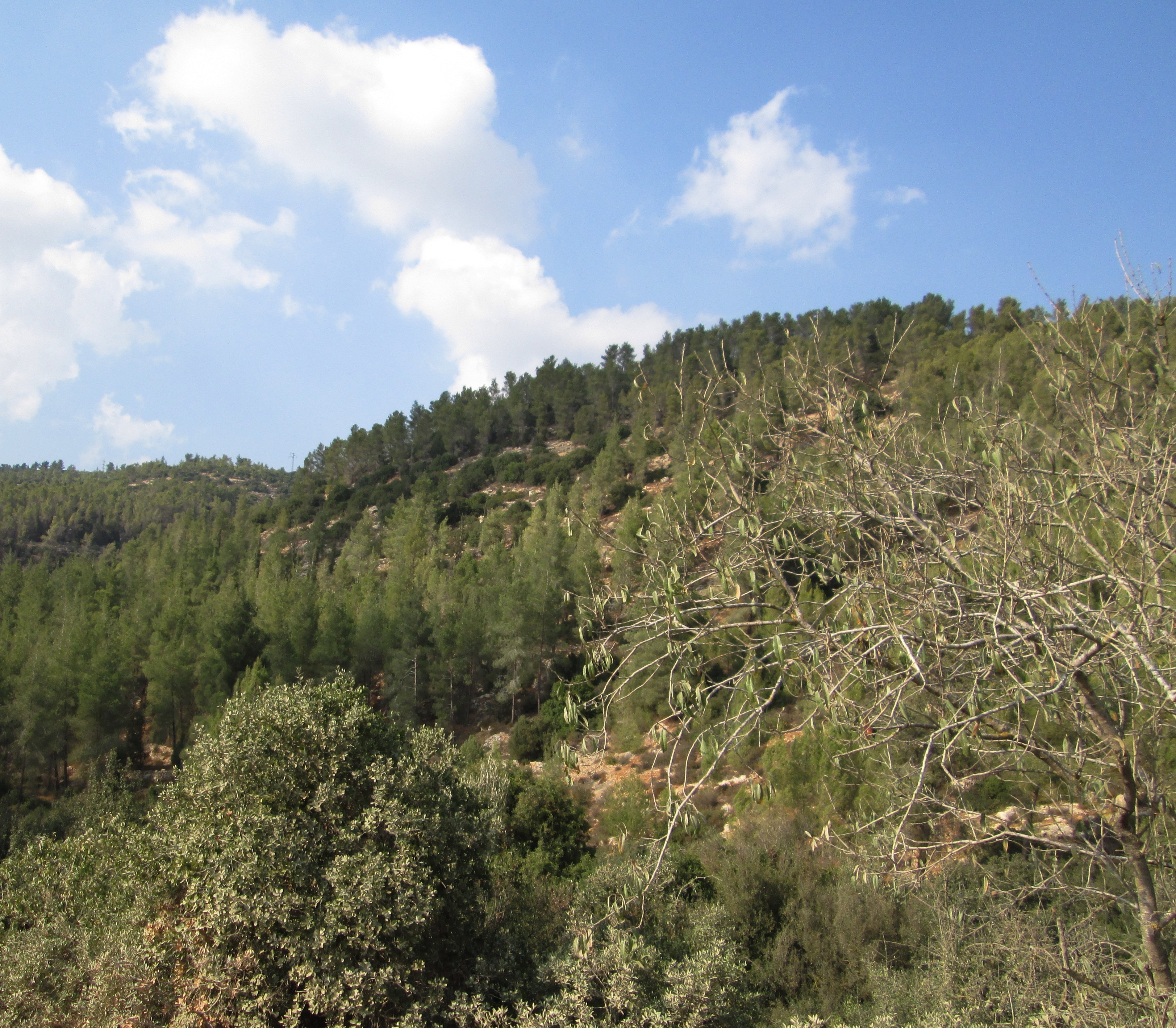 Judean Mountains by KJ Hannah Greenberg