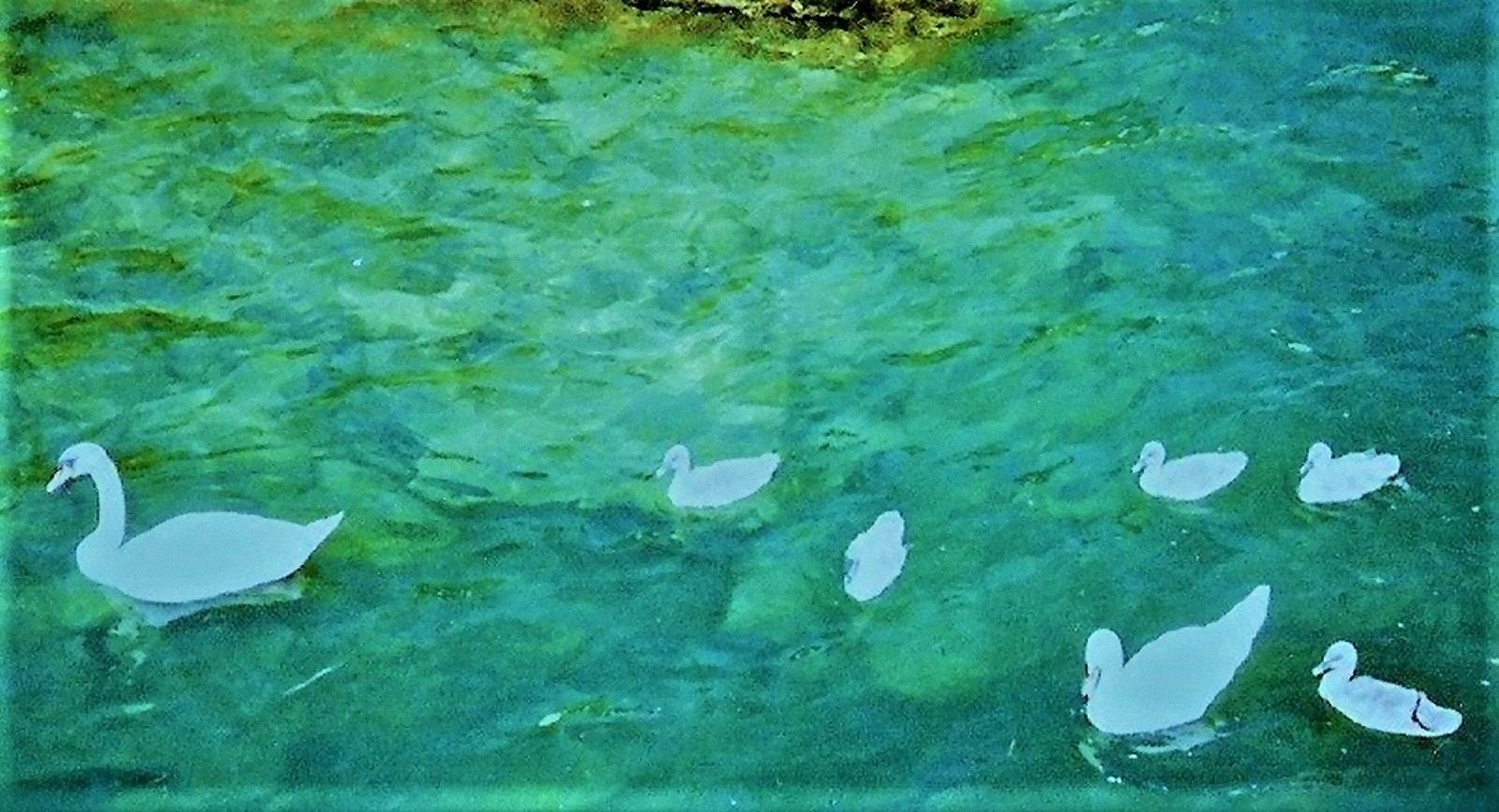 La! The Joy that was Spring by KJ Hannah Greenberg