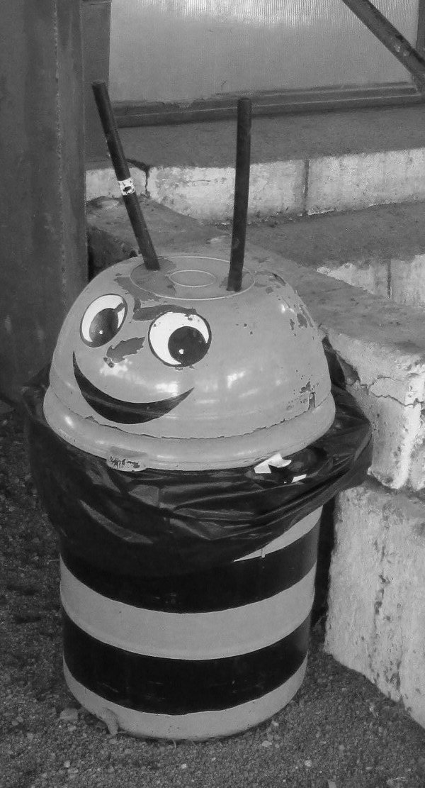 Jasmine by KJ Hannah Greenberg