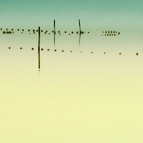 Pointilliste by Alain Vaissiere